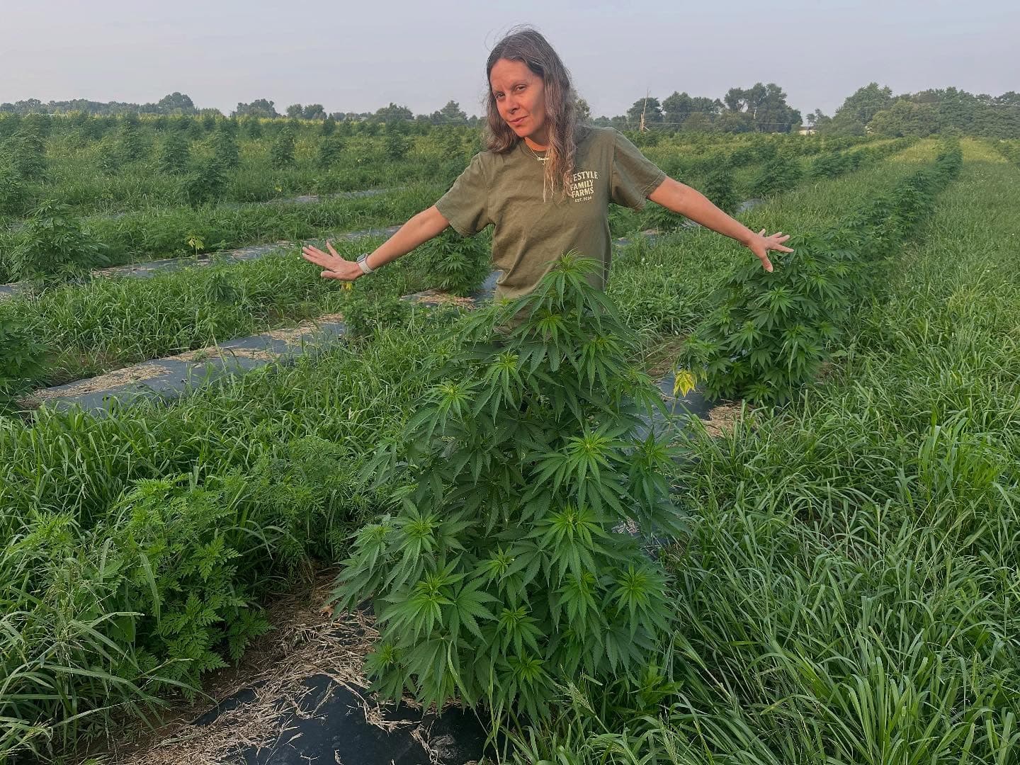 Chrissy standing in the hemp field at Lifestyle Family Farms, Grass Lake, Michigan